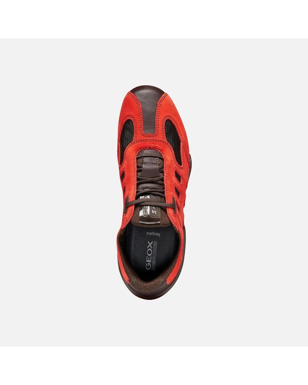 Geox Red Archive Snake