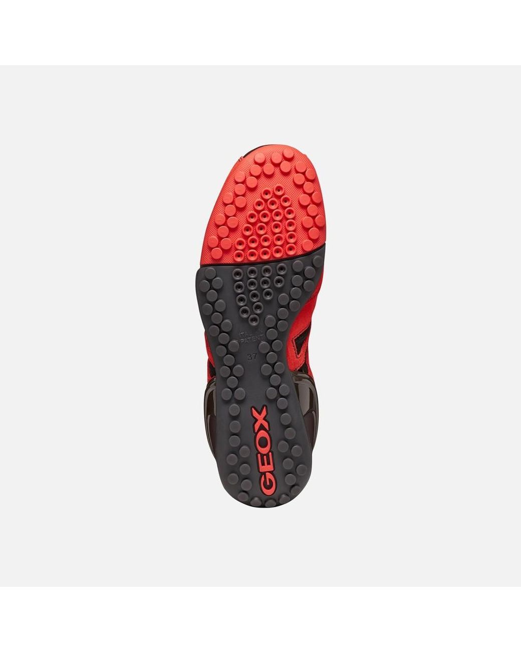 Geox Red Archive Snake