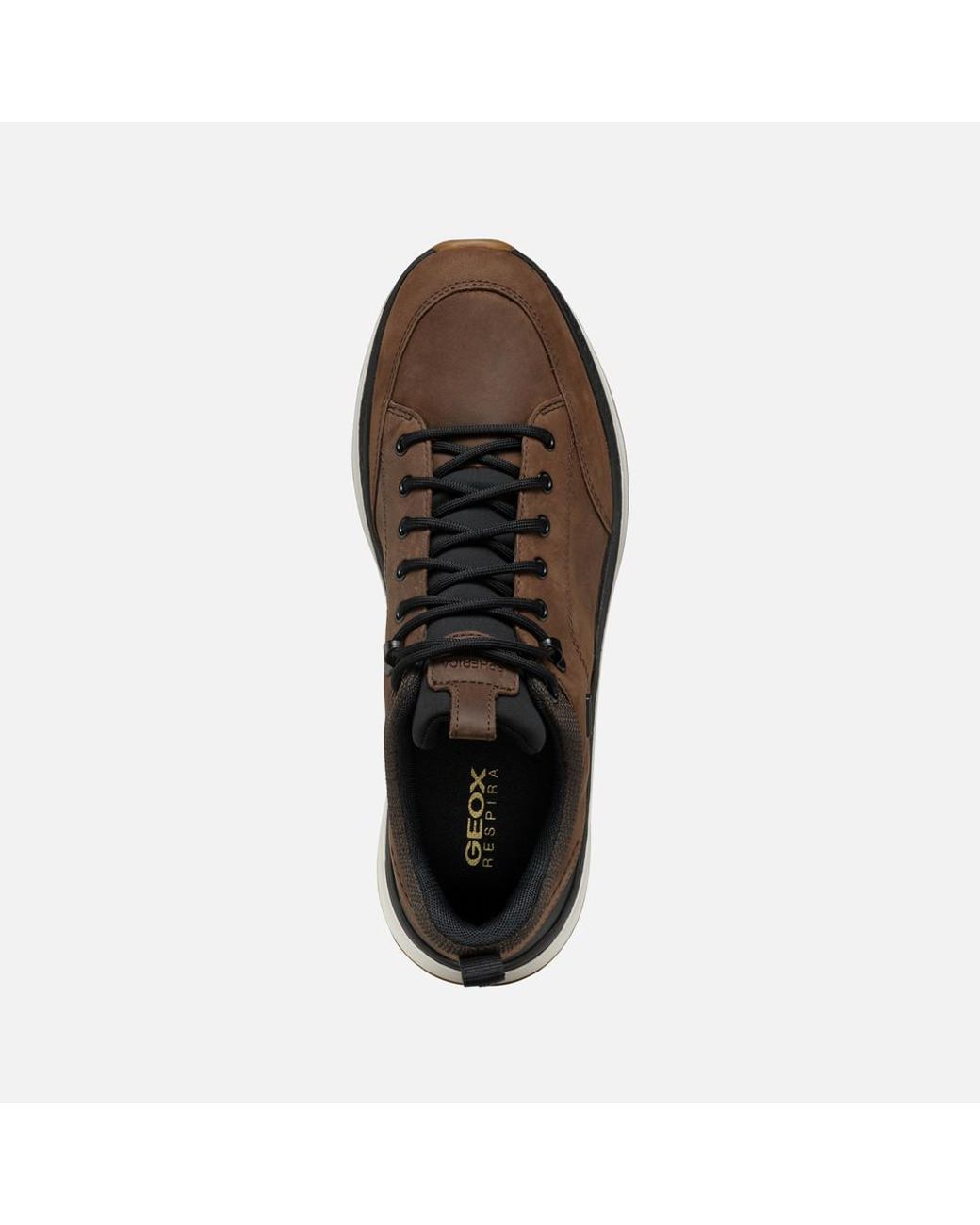 Geox Brown Spherica Actif X2 Abx for men
