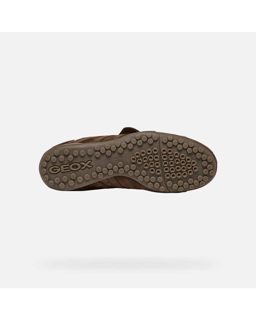 Geox Brown Snake