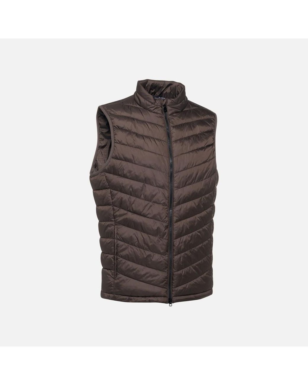 Geox Brown Wilmer for men