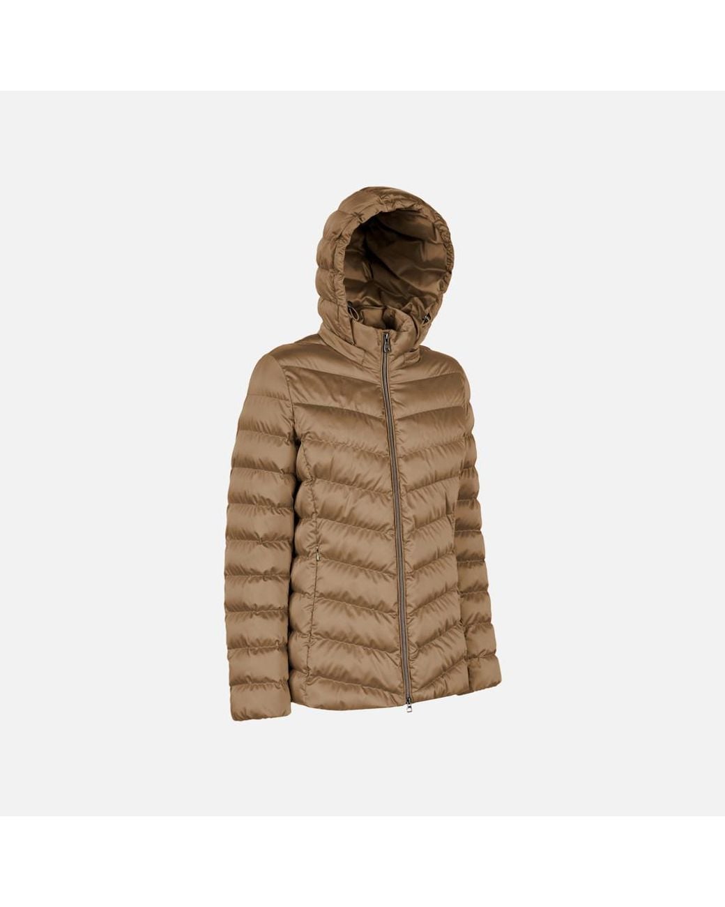 Geox Brown Zosma