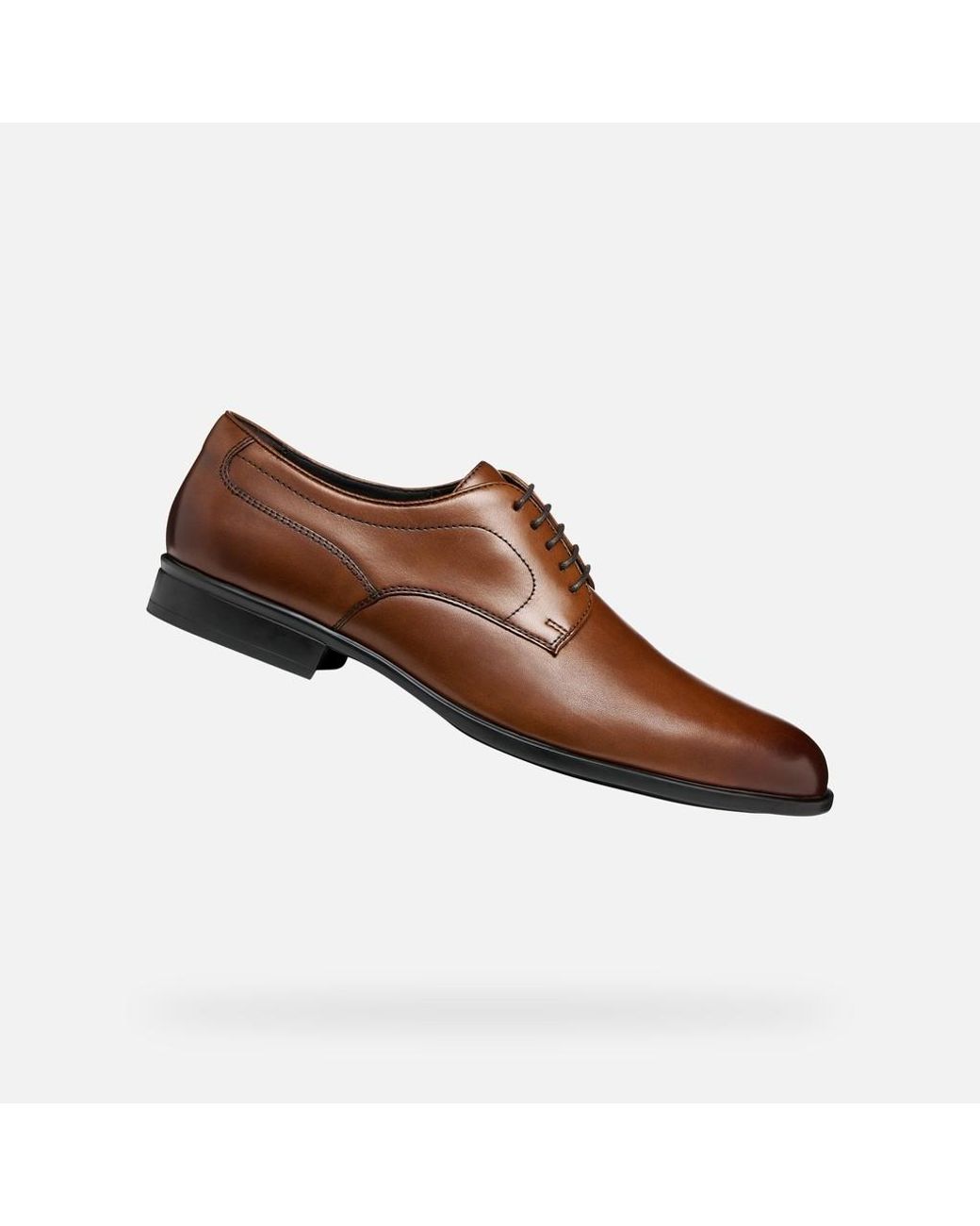 Geox Brown Iacopo for men
