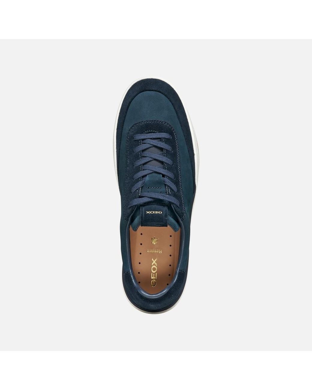 Geox Dynamia Herr in Blue für Herren