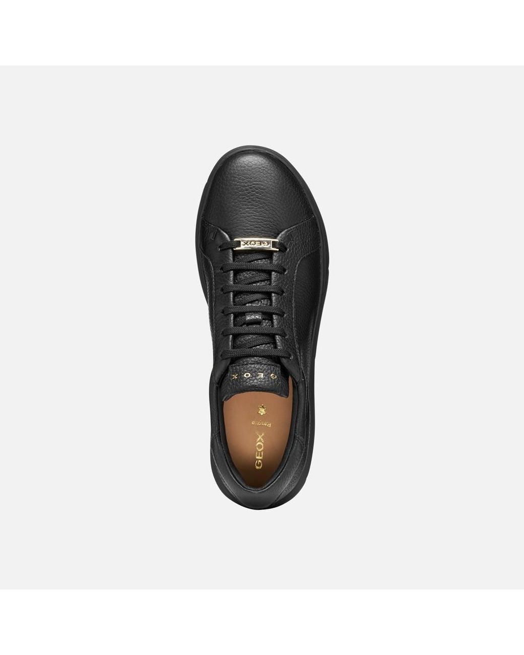 Geox Black Nebula 2.0 C