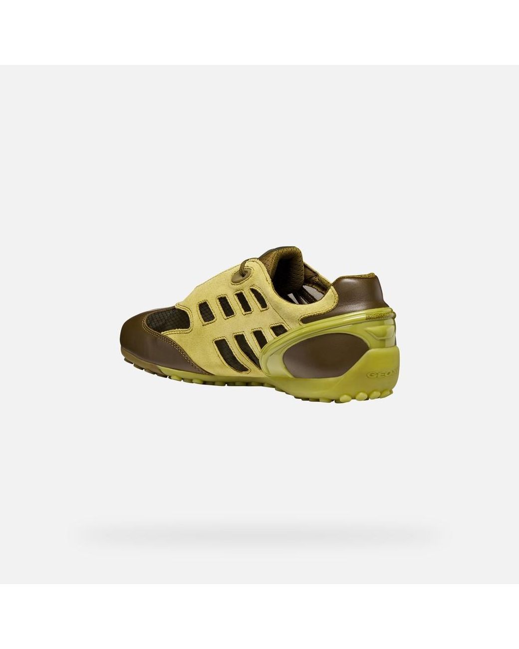 Geox Green Archive Snake for men