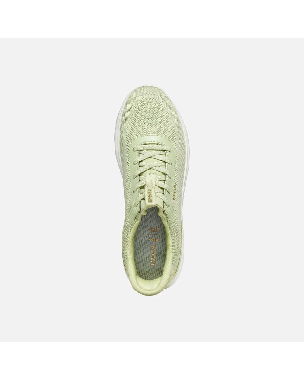 Geox Green Spherica Plus