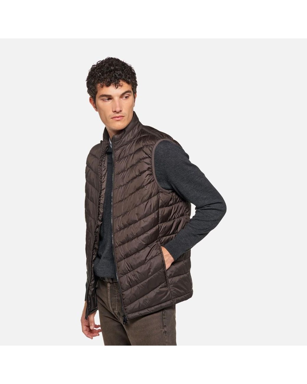 Geox Brown Wilmer for men