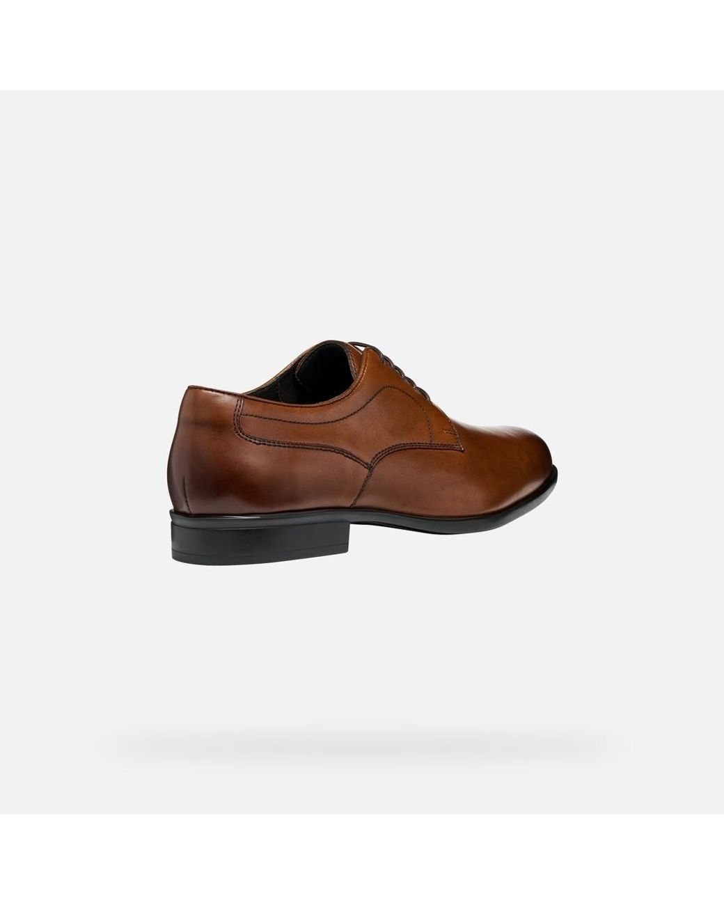 Geox Brown Iacopo for men