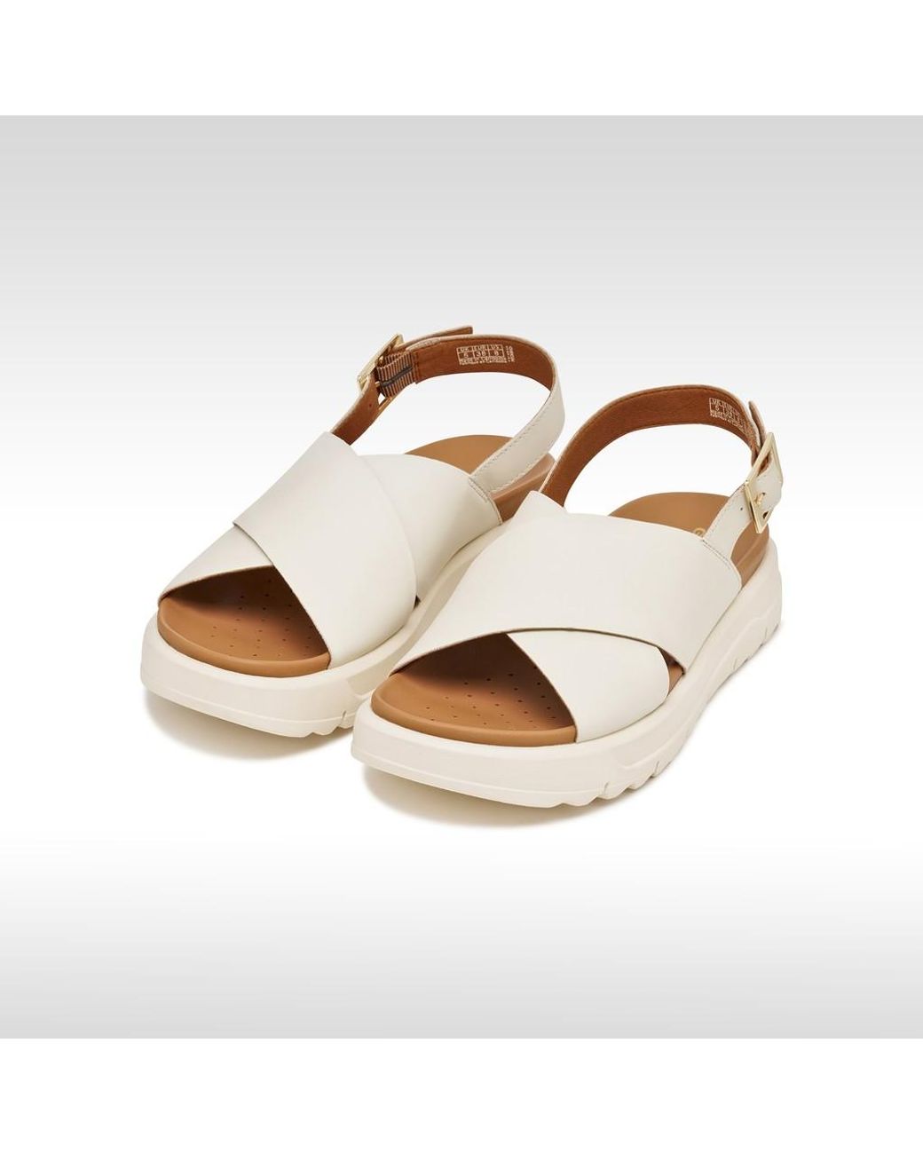 Geox Multicolor Xand 2.1S
