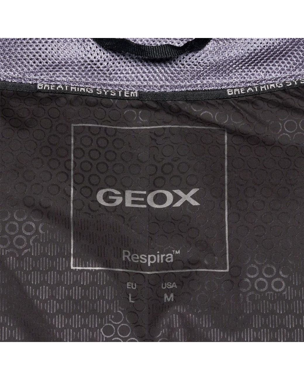 Geox Brown Spherica Coffee Bean/Coffee Bean for men