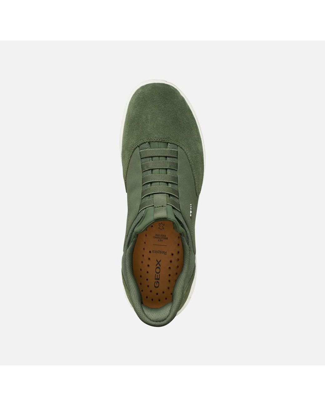 Geox Green Nebula 2.0 Plus for men