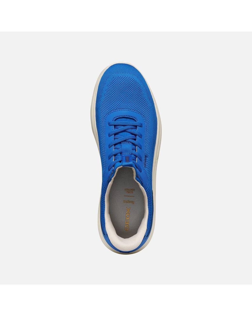 Geox Blue Spherica Plus for men