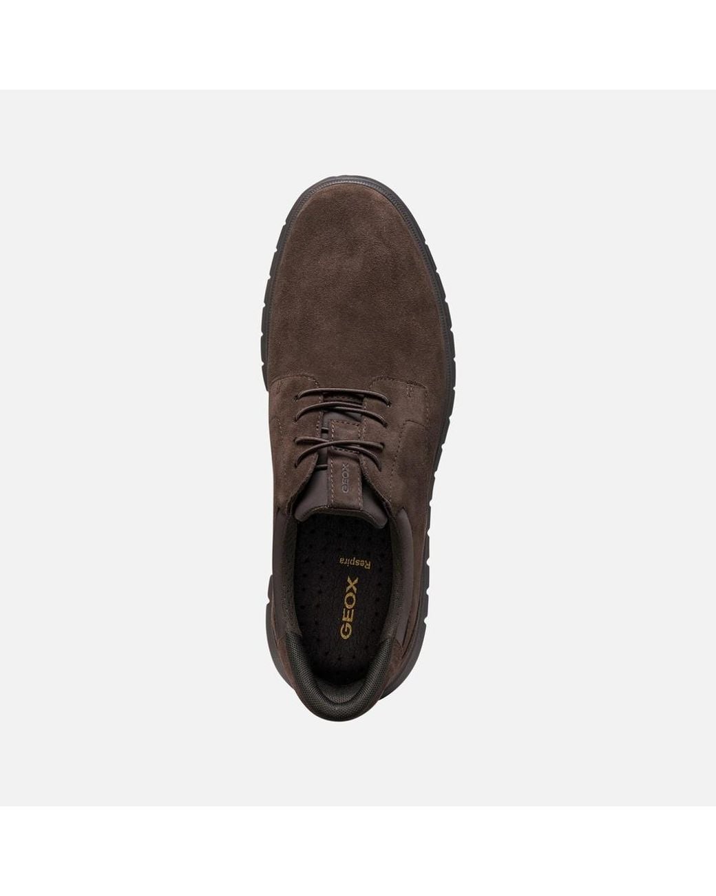 Geox Flextride F Plus Herr in Brown für Herren