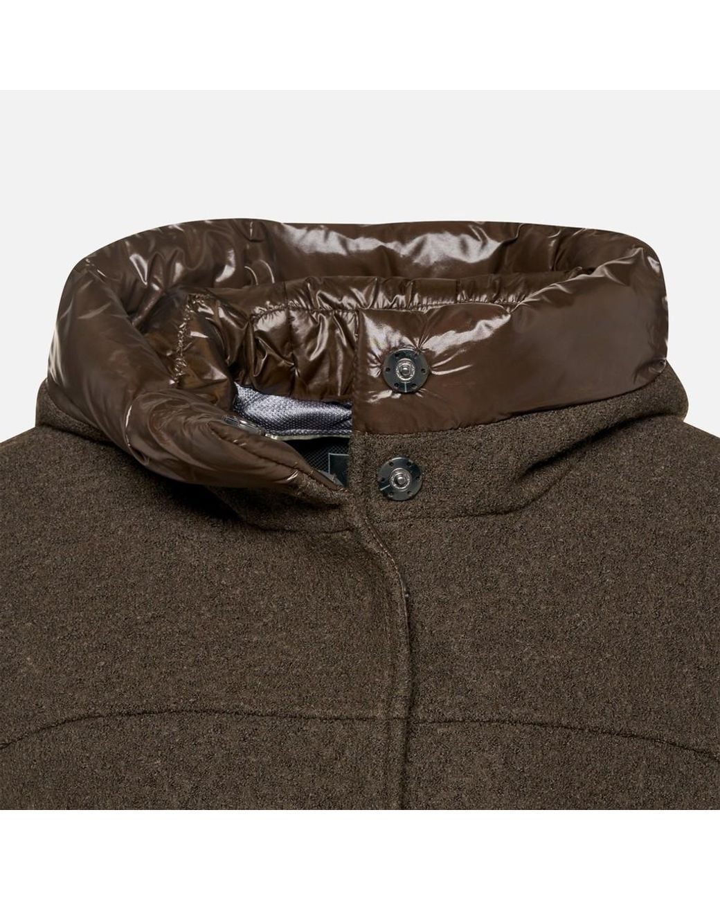 Geox Brown Kleopy