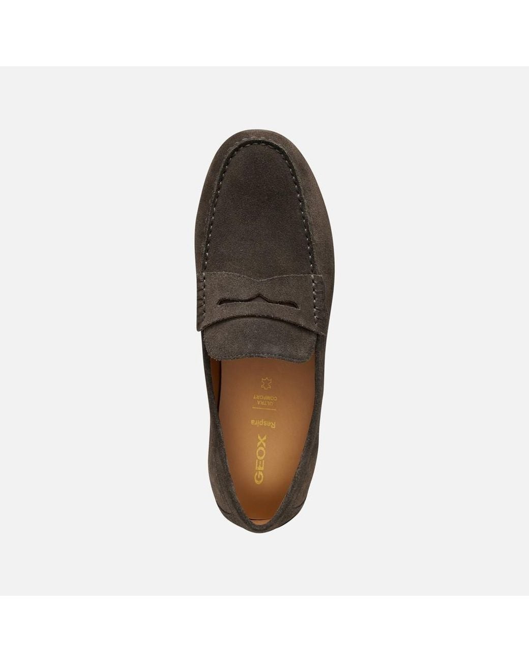 Geox Brown Spherica Ec16 for men