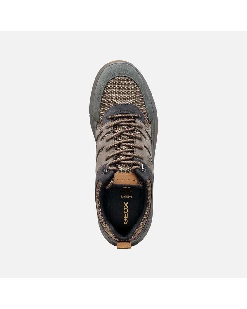 Geox Gray Spherica 4X4 Abx for men