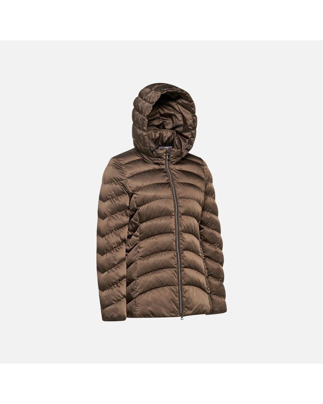 Geox Brown Zosma