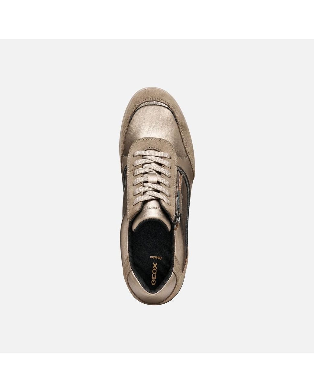 Geox Gray Stardust Sage/Dove