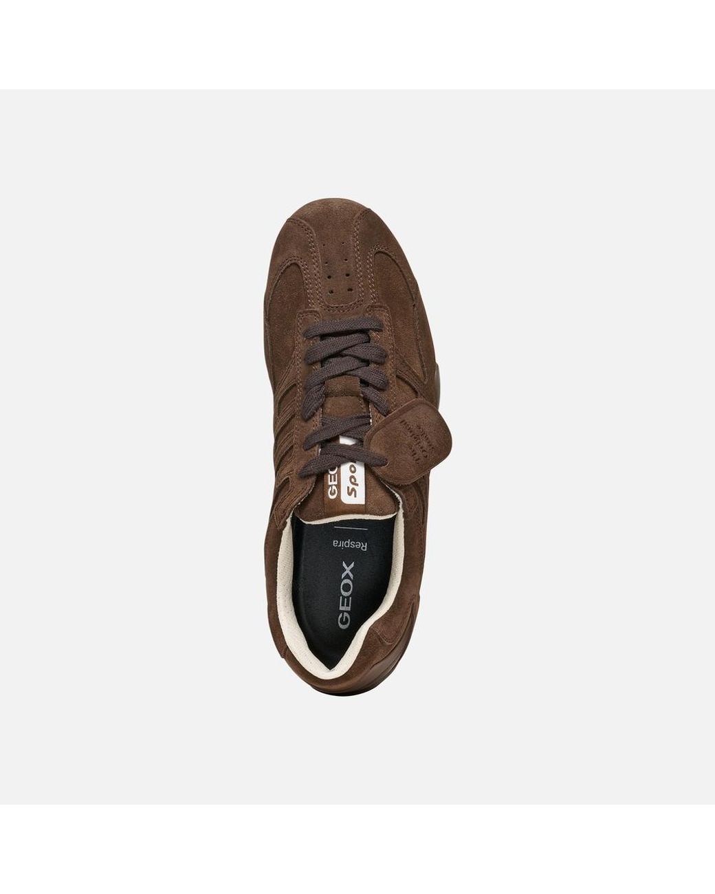 Geox Brown Snake