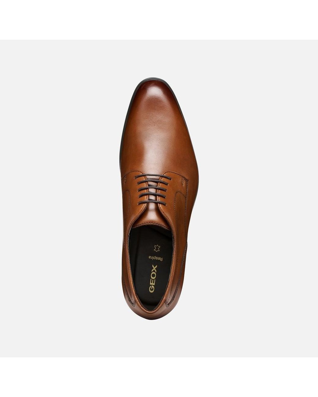 Geox Brown Iacopo for men