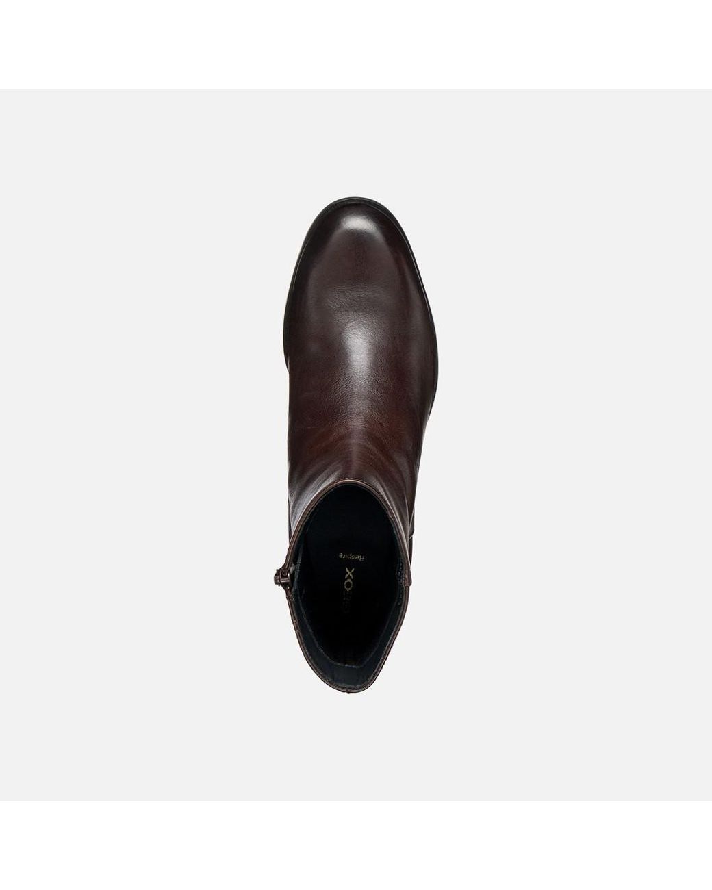 Geox Brown Alnoire