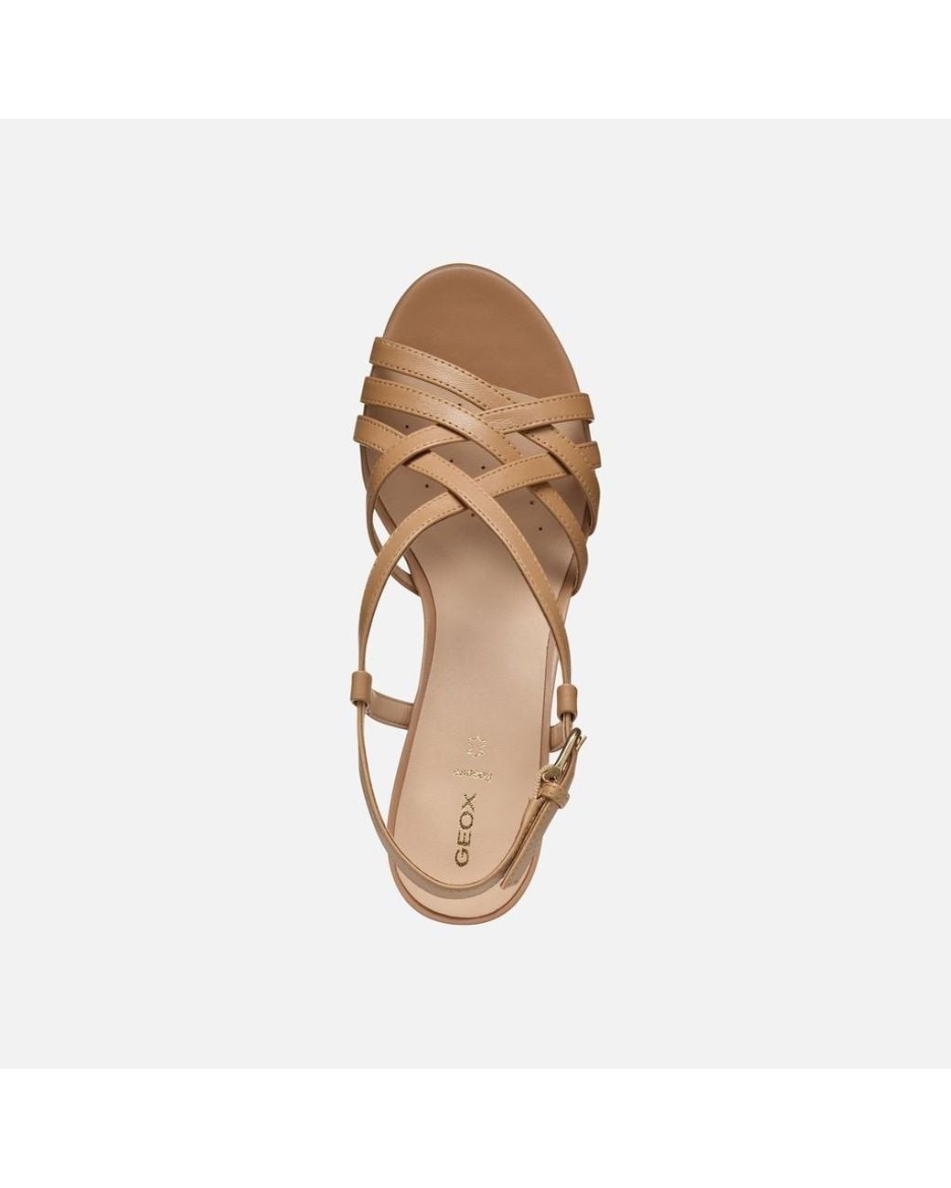 Geox Brown Virnilisa 65 S