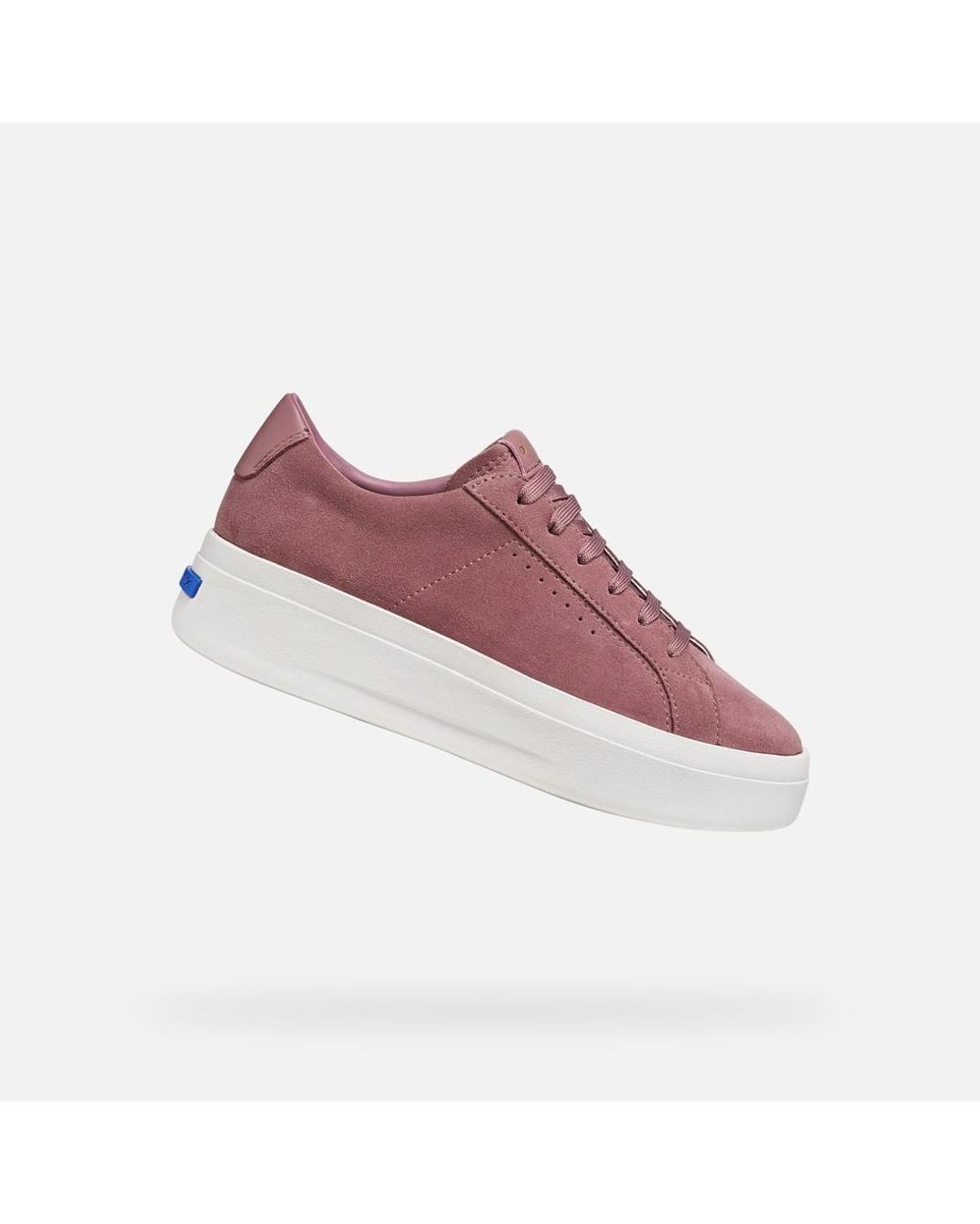 Geox Purple Gxcp-03