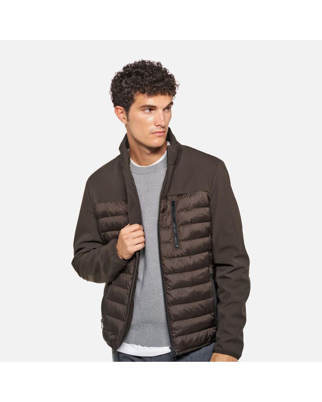 Geox Brown Spherica Coffee Bean/Coffee Bean for men