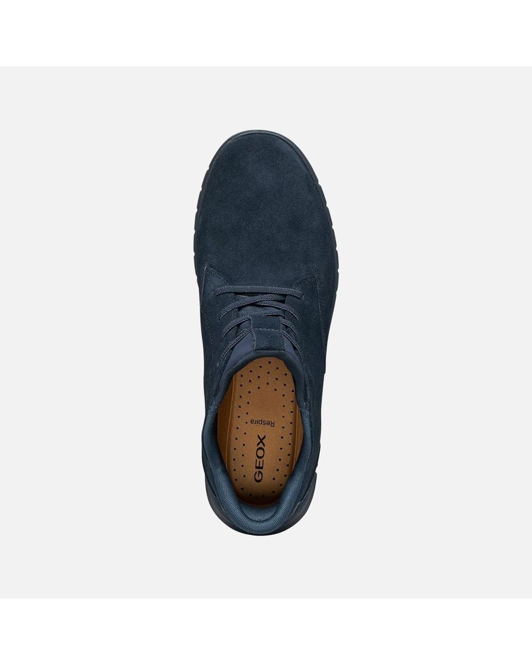 Geox Flextride Plus Herr in Blue für Herren