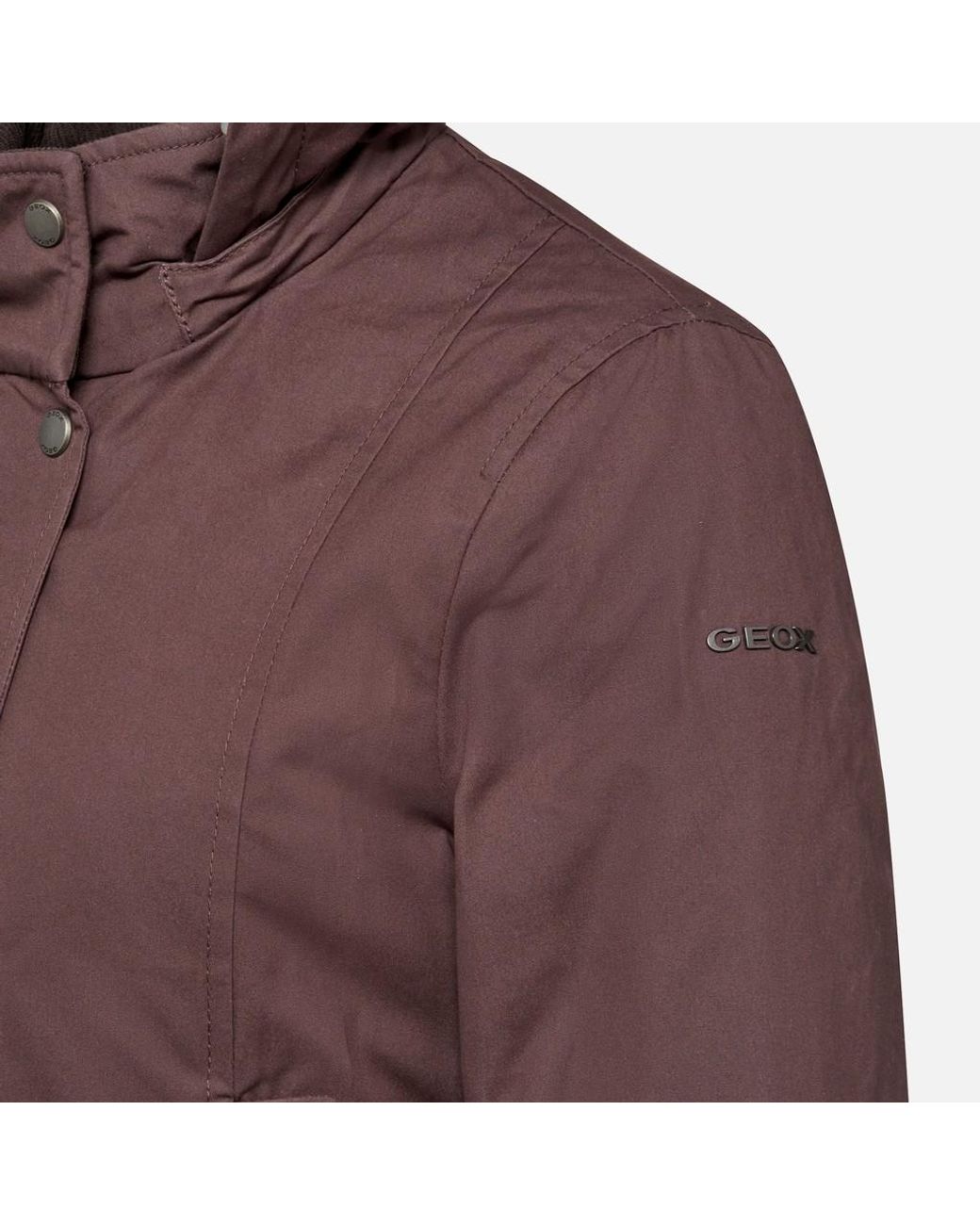 Geox Brown Graisy
