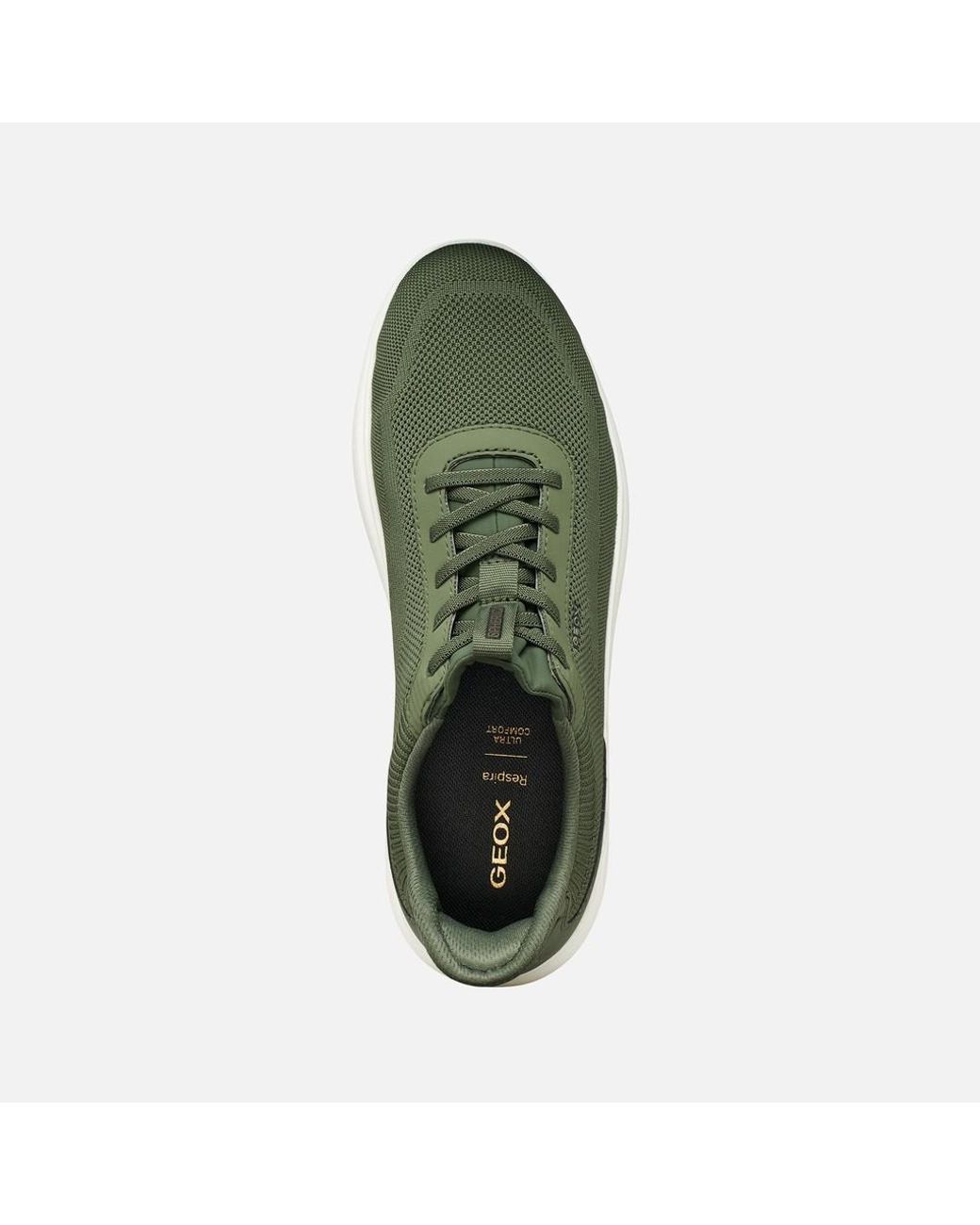 Geox Green Spherica Plus for men