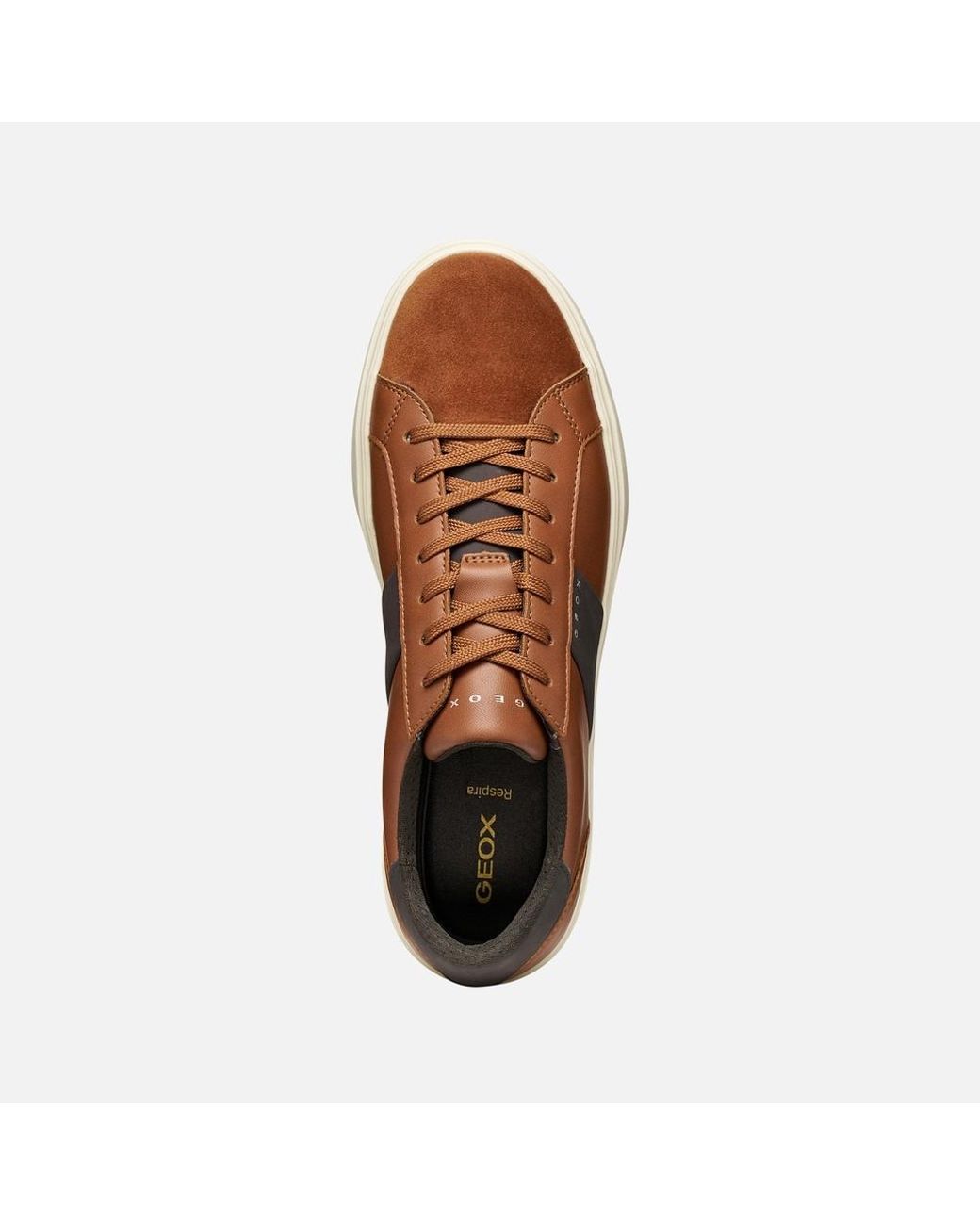Geox Brown Baltmoore for men