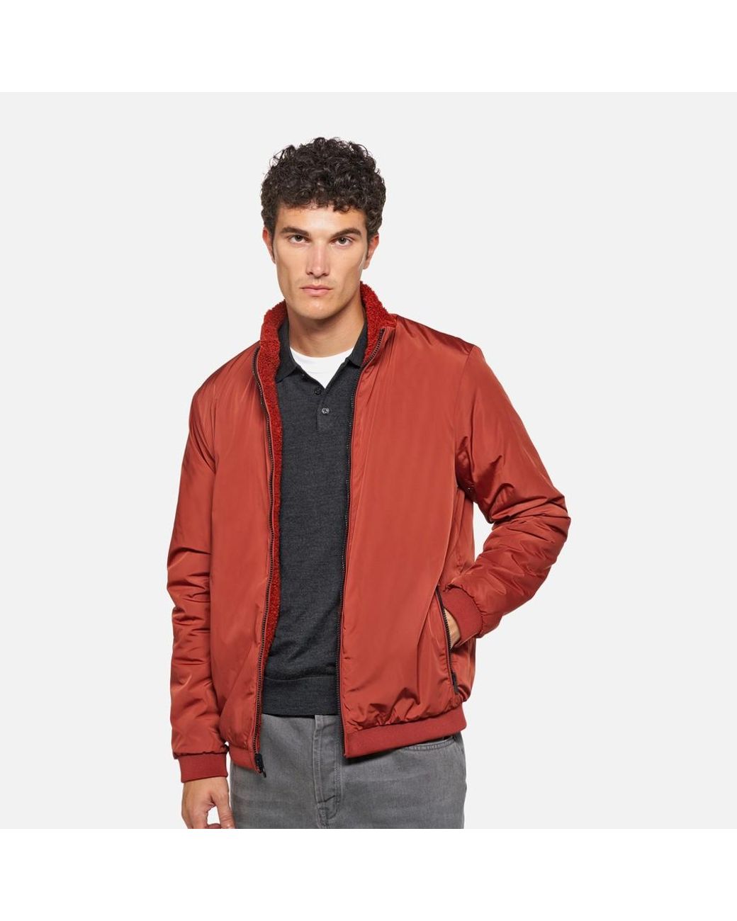 Geox Red Sweater Ketchup/Ketchup for men