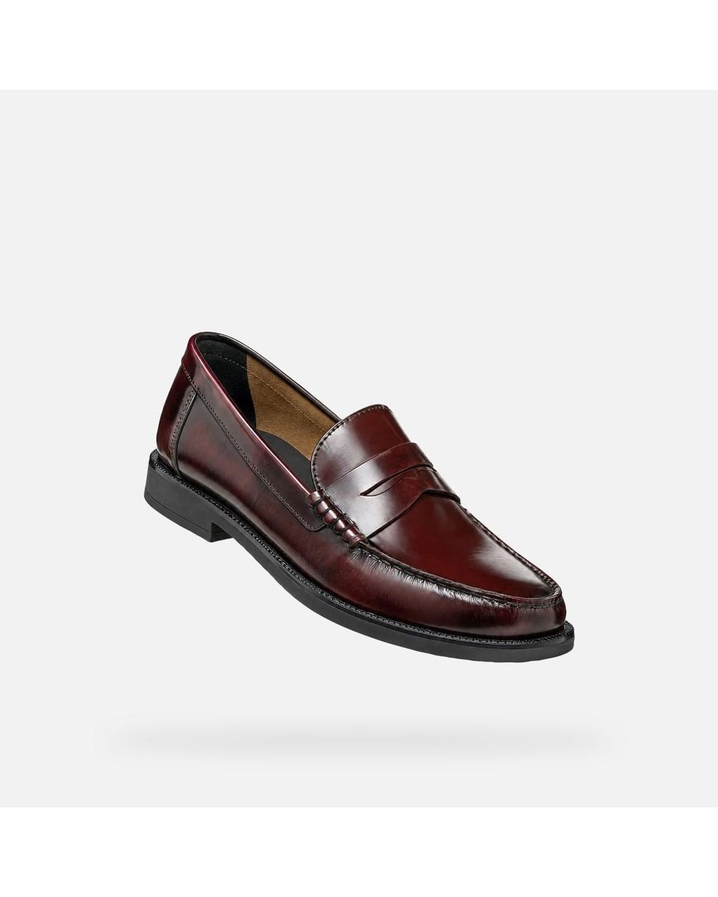 Geox Brown Recanati for men