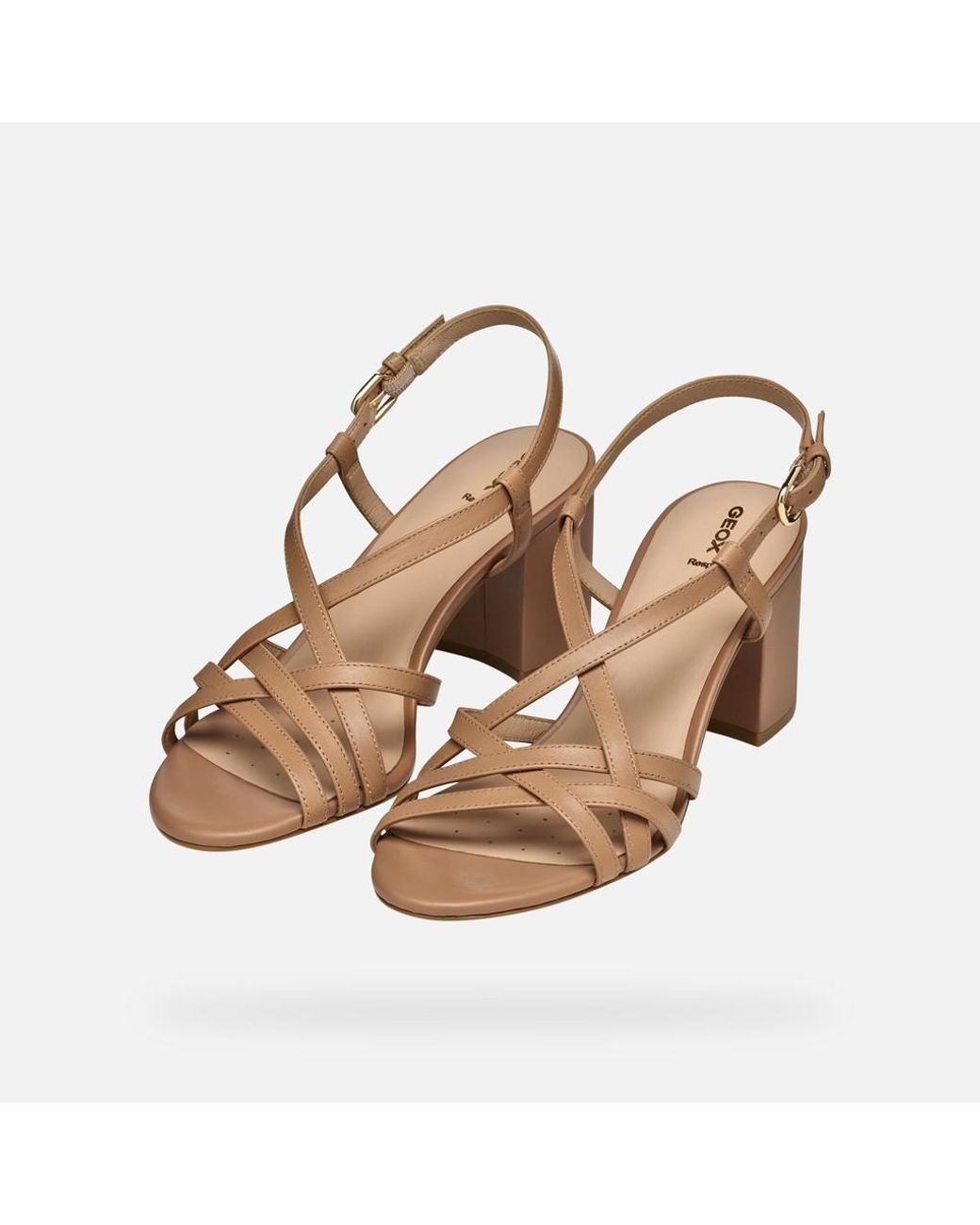 Geox Brown Virnilisa 65 S