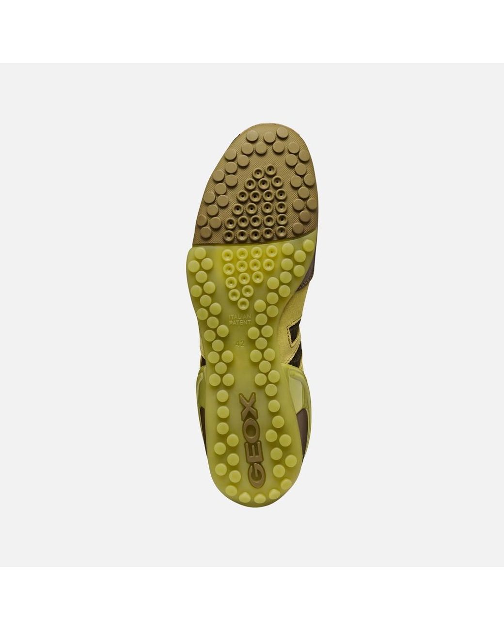 Geox Green Archive Snake for men
