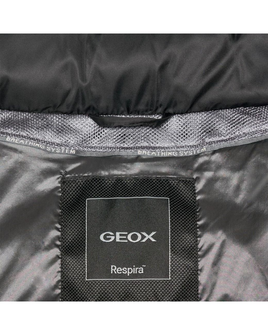 Geox Black Zosma