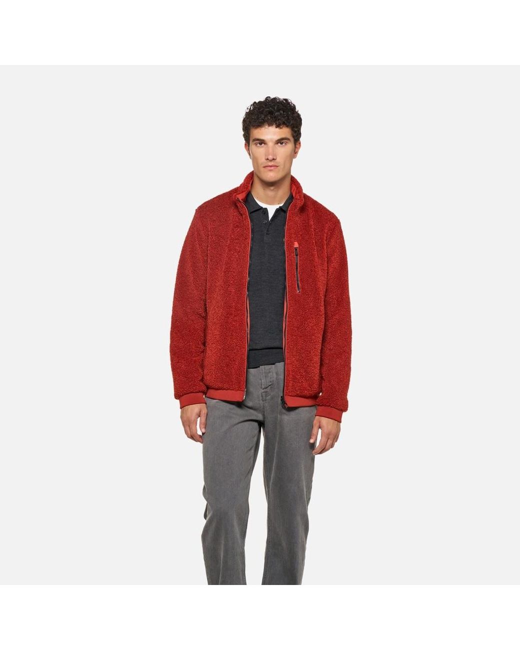Geox Red Sweater Ketchup/Ketchup for men