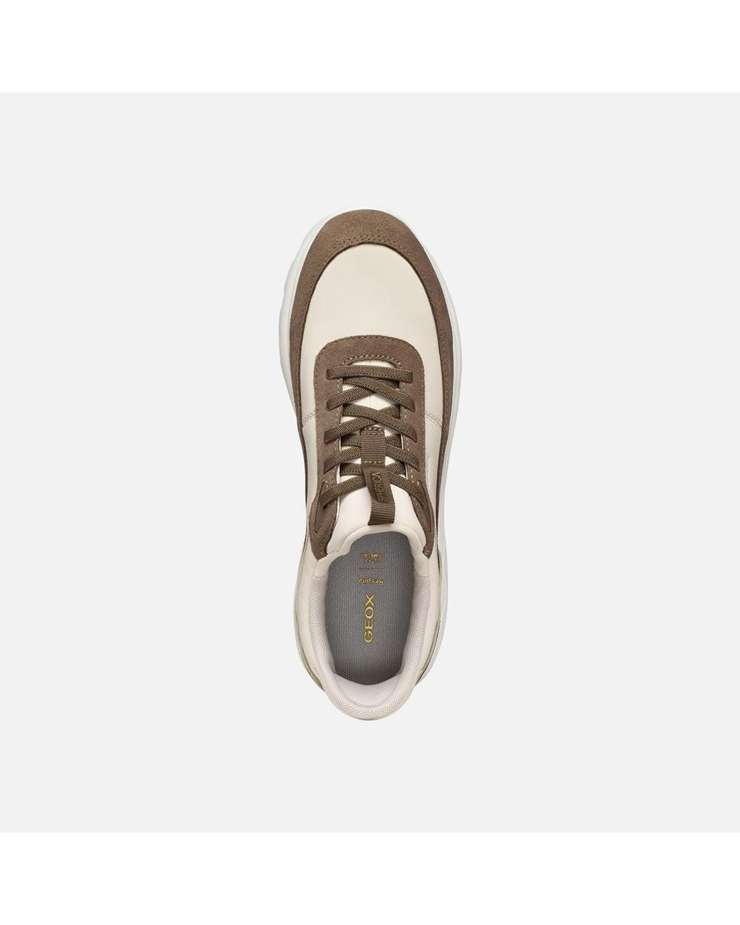 Geox Multicolor Spherica Plus Papyrus/Taupe