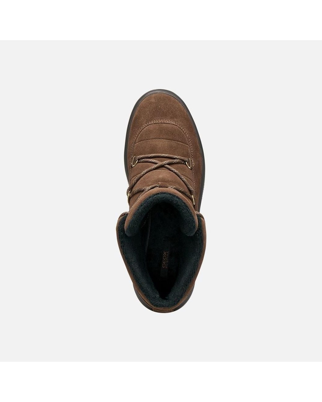 Geox Brown Kaula Abx