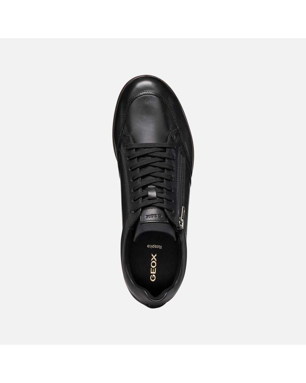 Geox Black Renan for men