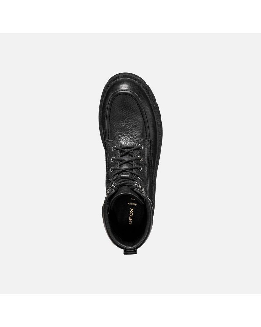 Geox Black Eivette