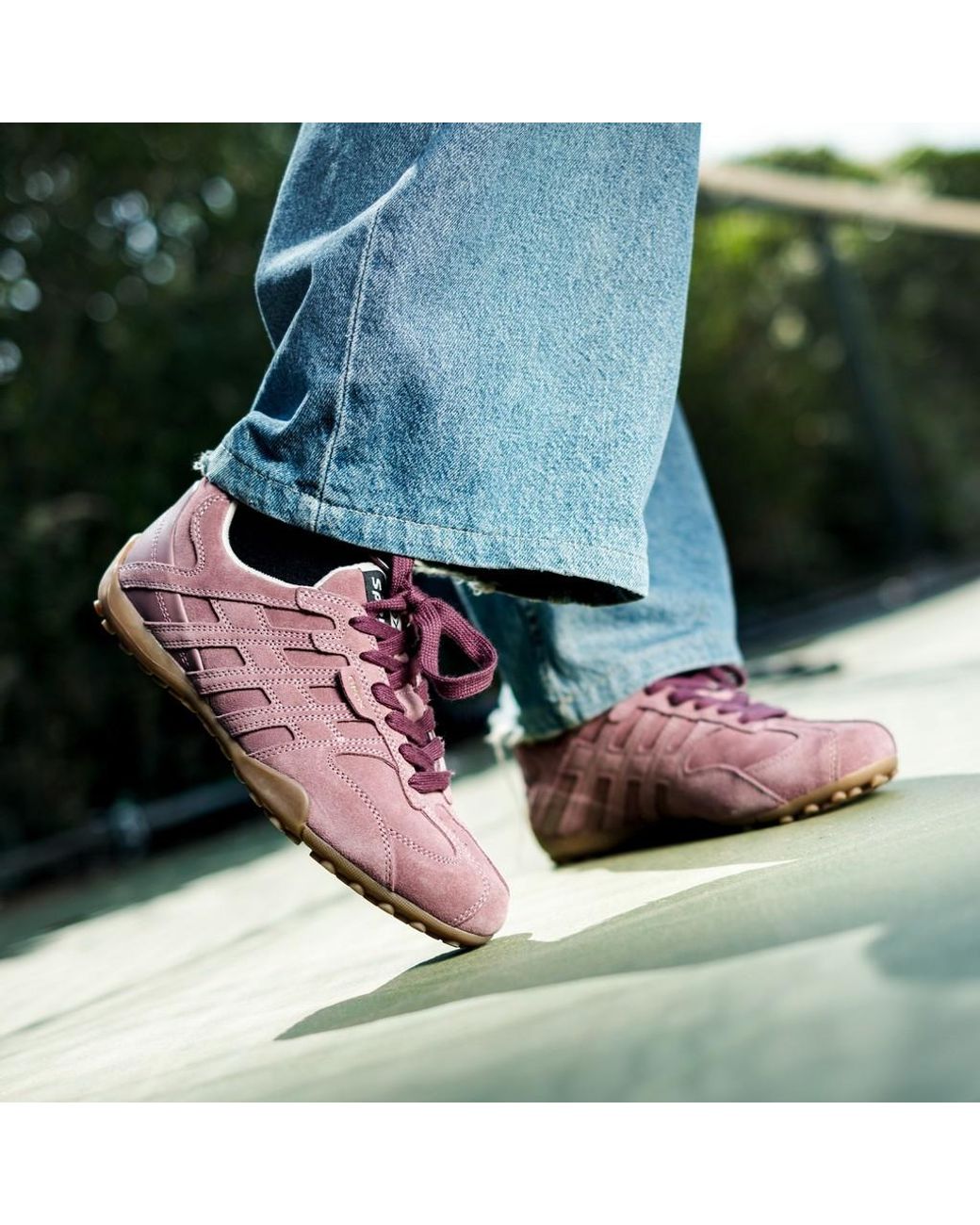 Geox Purple Snake