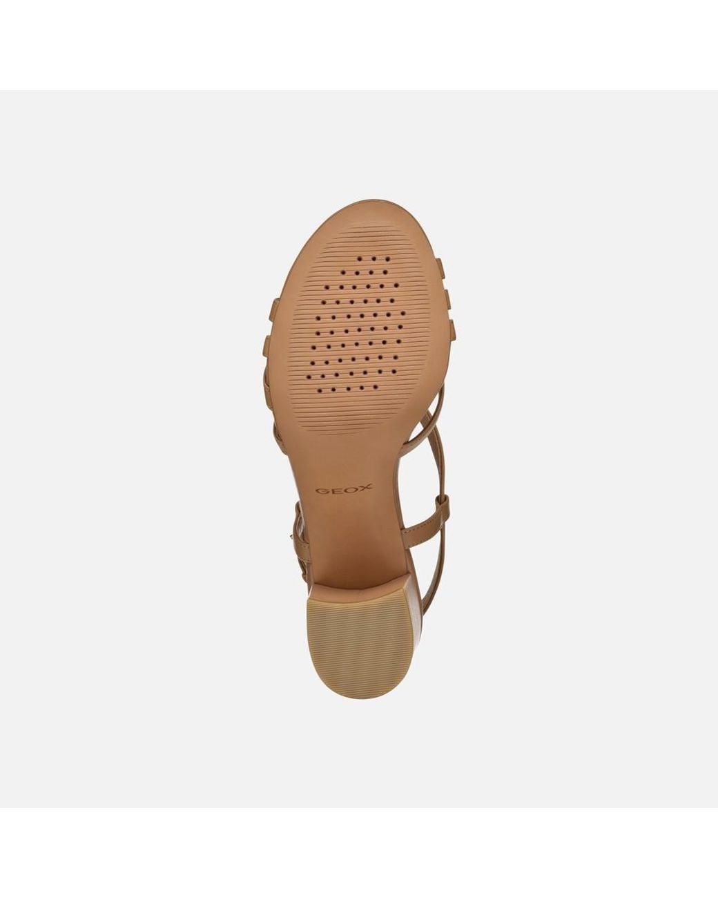 Geox Brown Virnilisa 65 S