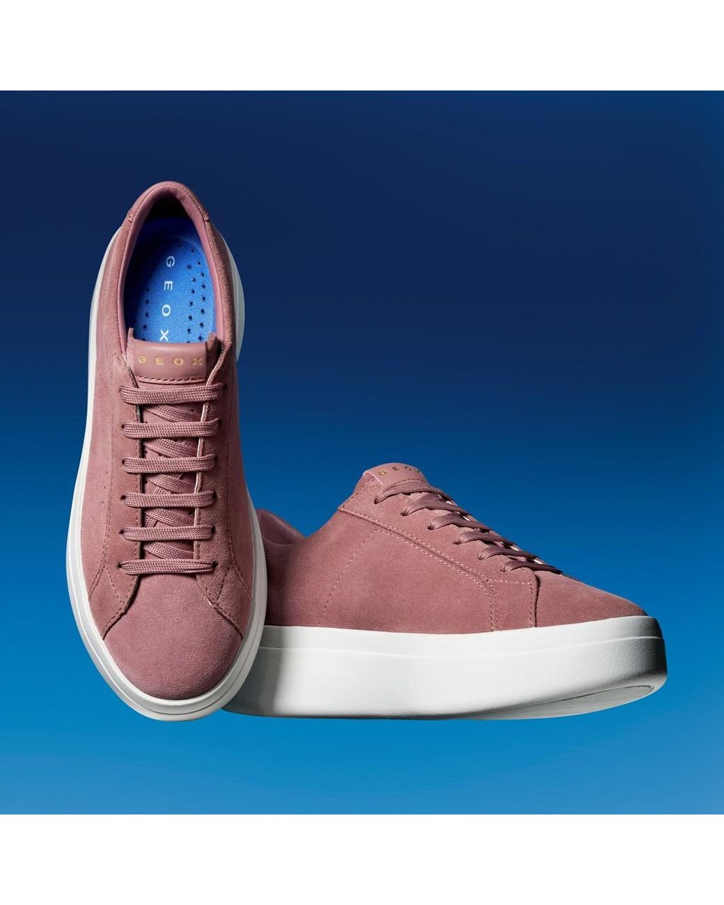 Geox Purple Gxcp-03