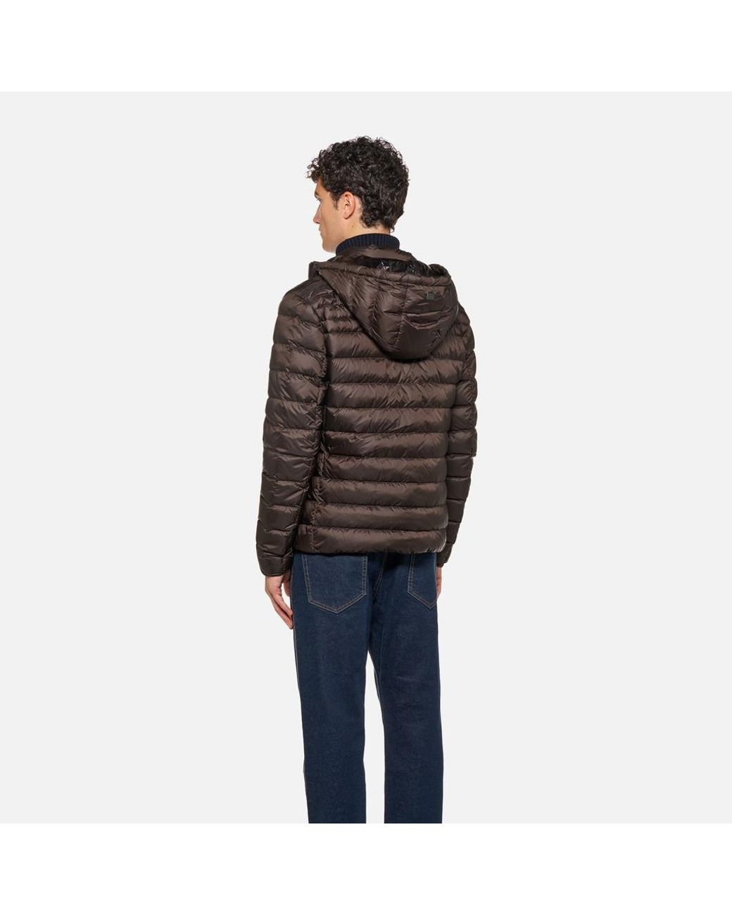 Geox Brown Warrens for men
