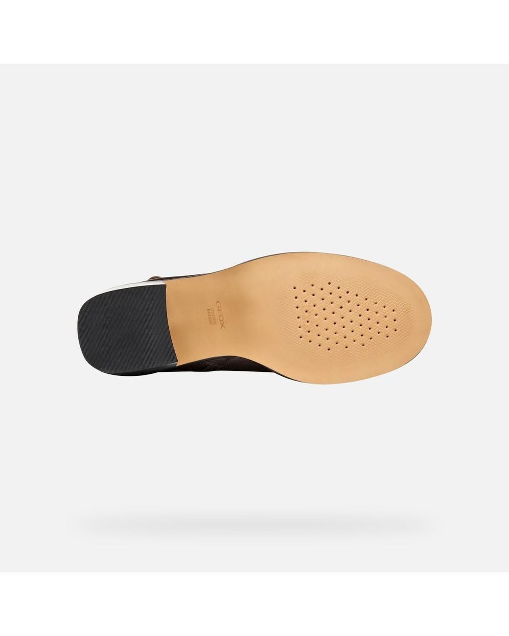Geox Brown Sobima