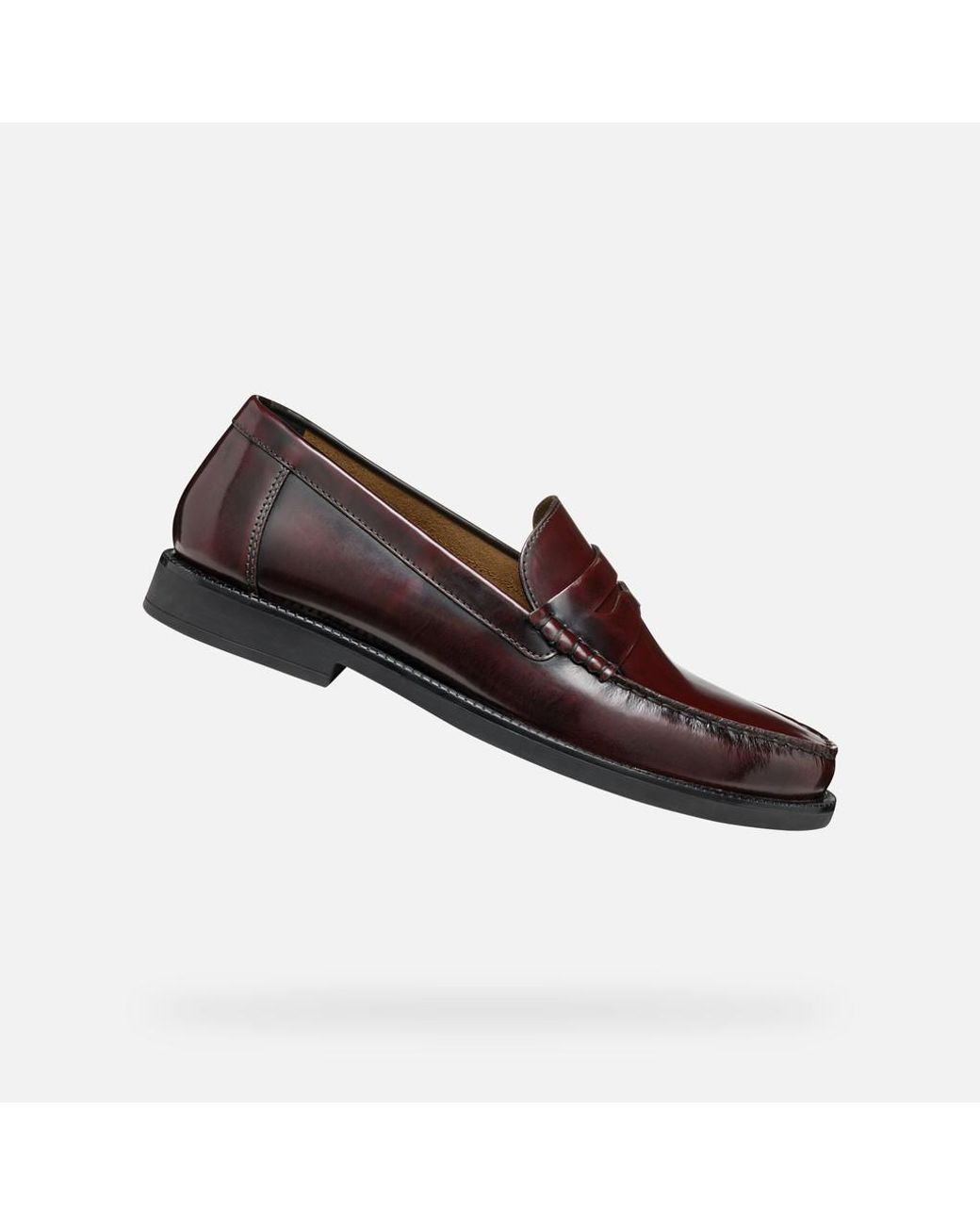 Geox Brown Recanati for men