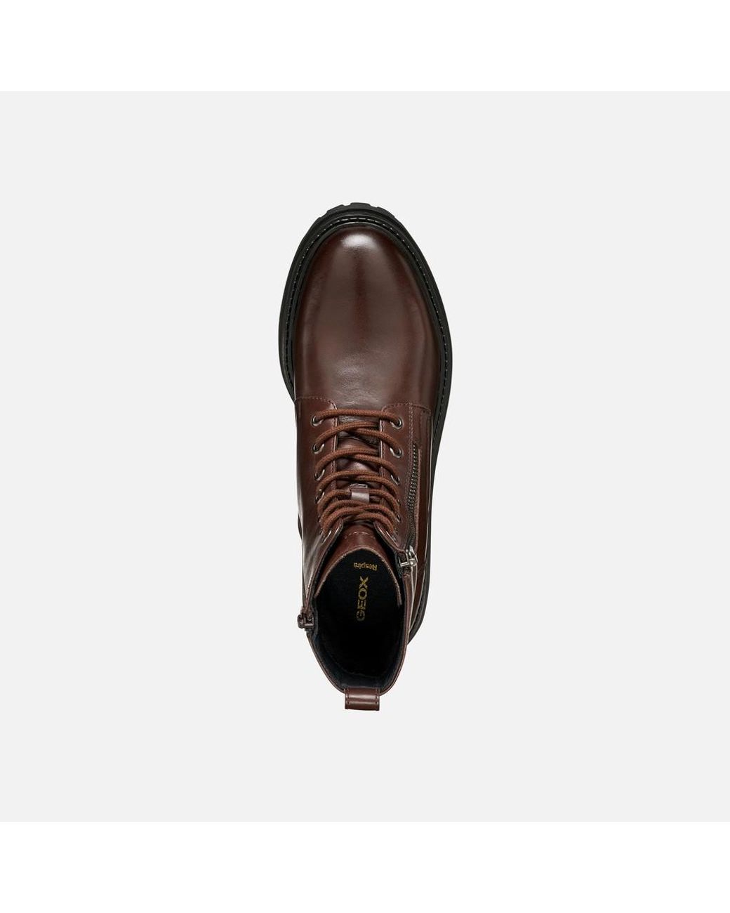 Geox Brown Iridea